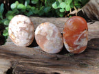 Polished Flower Agate Palm Stones x 12 From Antsahalova, Madagascar - Toprock Gemstones and Minerals 