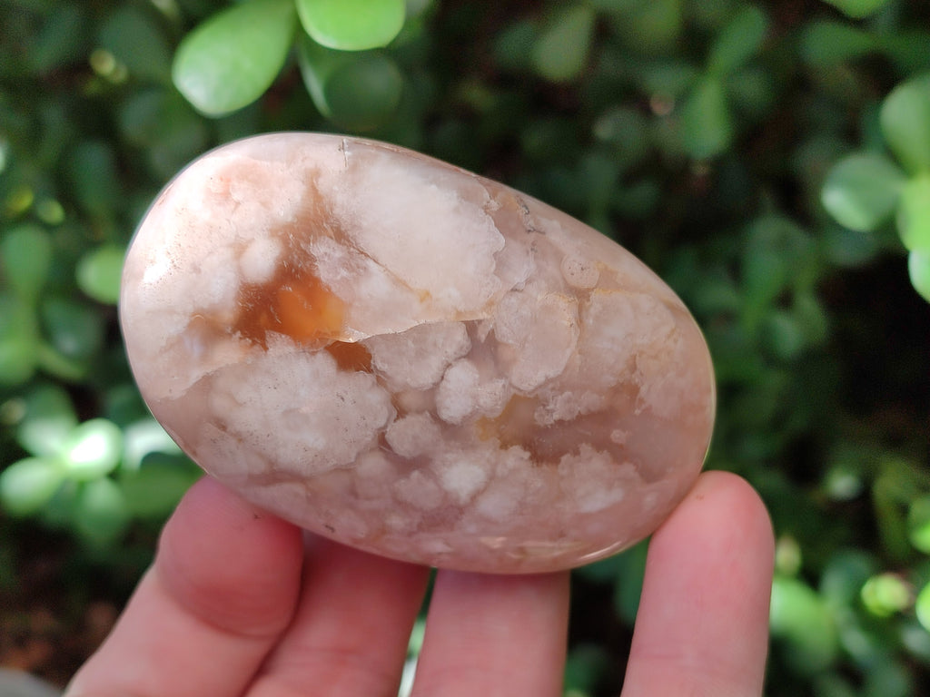 Polished Flower Agate Palm Stones x 12 From Antsahalova, Madagascar - Toprock Gemstones and Minerals 