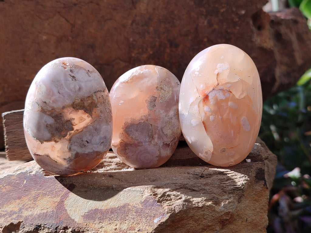 Polished Flower Agate Palm Stones x 12 From Antsahalova, Madagascar - Toprock Gemstones and Minerals 