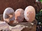 Polished Flower Agate Palm Stones x 12 From Antsahalova, Madagascar - Toprock Gemstones and Minerals 