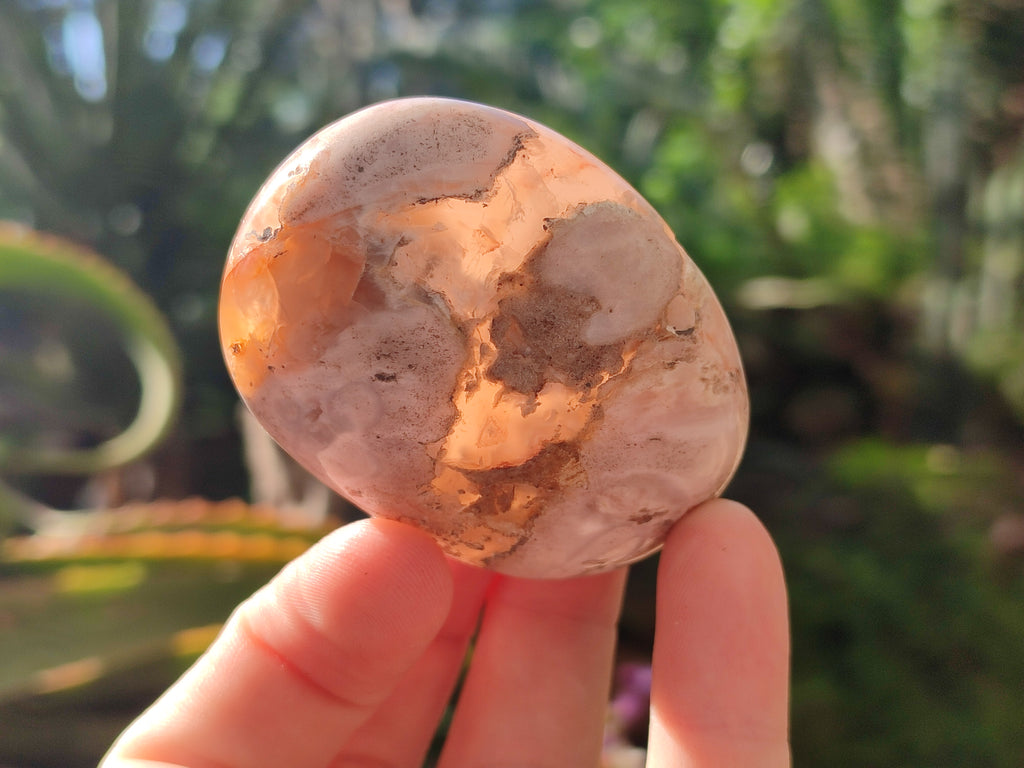 Polished Flower Agate Palm Stones x 12 From Antsahalova, Madagascar - Toprock Gemstones and Minerals 