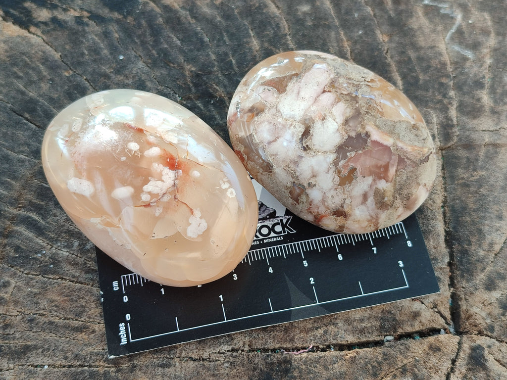 Polished Flower Agate Palm Stones x 12 From Antsahalova, Madagascar - Toprock Gemstones and Minerals 