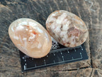 Polished Flower Agate Palm Stones x 12 From Antsahalova, Madagascar - Toprock Gemstones and Minerals 