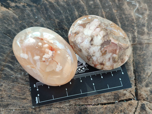 Polished Flower Agate Palm Stones x 12 From Antsahalova, Madagascar - Toprock Gemstones and Minerals 