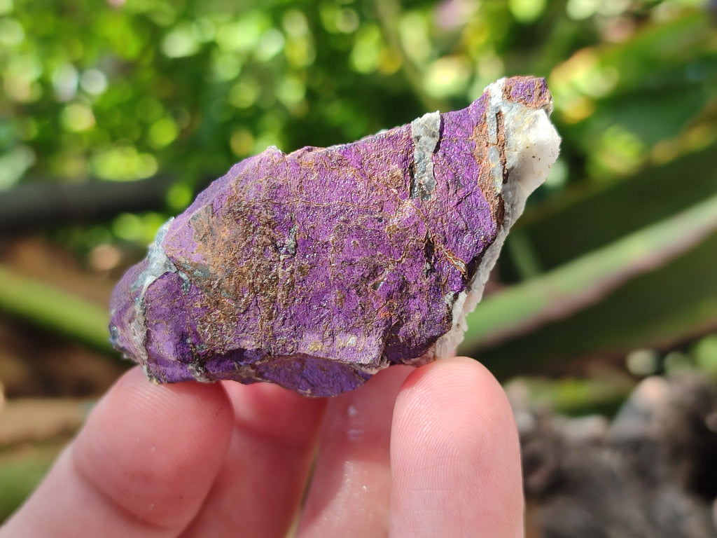 Natural Metallic Cobbed Purpurite Specimens x 35 From Erongo, Namibia - Toprock Gemstones and Minerals 