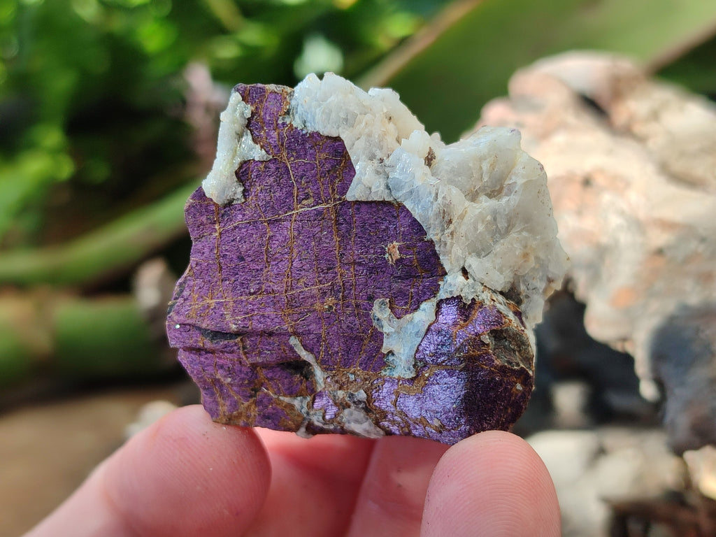 Natural Metallic Cobbed Purpurite Specimens x 35 From Erongo, Namibia - Toprock Gemstones and Minerals 