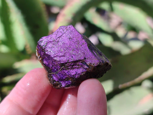 Natural Metallic Cobbed Purpurite Specimens x 35 From Erongo, Namibia - Toprock Gemstones and Minerals 