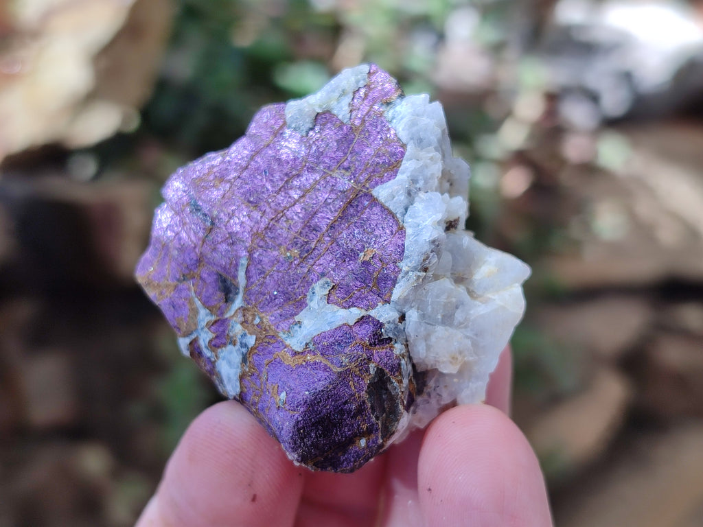 Natural Metallic Cobbed Purpurite Specimens x 35 From Erongo, Namibia - Toprock Gemstones and Minerals 