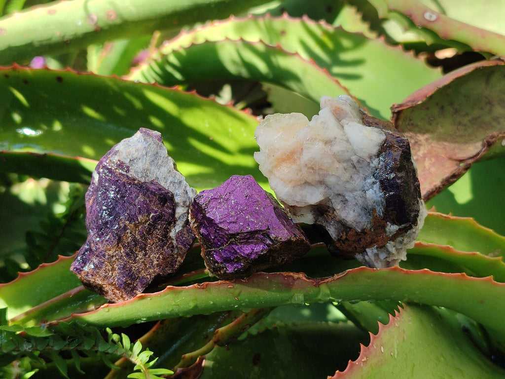 Natural Metallic Cobbed Purpurite Specimens x 35 From Erongo, Namibia - Toprock Gemstones and Minerals 
