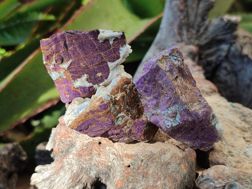 Natural Metallic Cobbed Purpurite Specimens x 35 From Erongo, Namibia - Toprock Gemstones and Minerals 