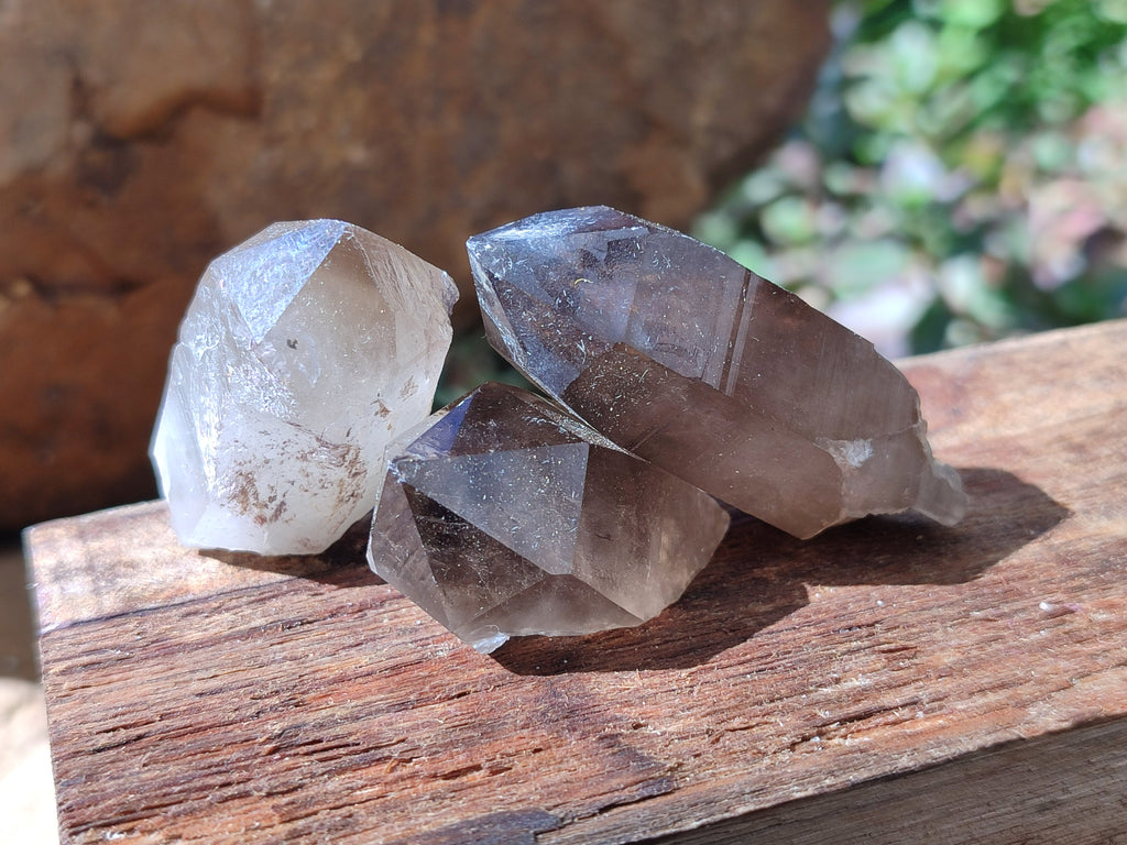 Natural Smokey Quartz Crystals x 35 From Mulanje, Malawi - Toprock Gemstones and Minerals 