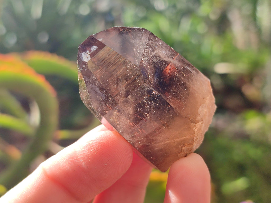 Natural Smokey Quartz Crystals x 35 From Mulanje, Malawi - Toprock Gemstones and Minerals 