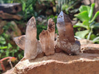 Natural Smokey Quartz Crystals x 35 From Mulanje, Malawi - Toprock Gemstones and Minerals 