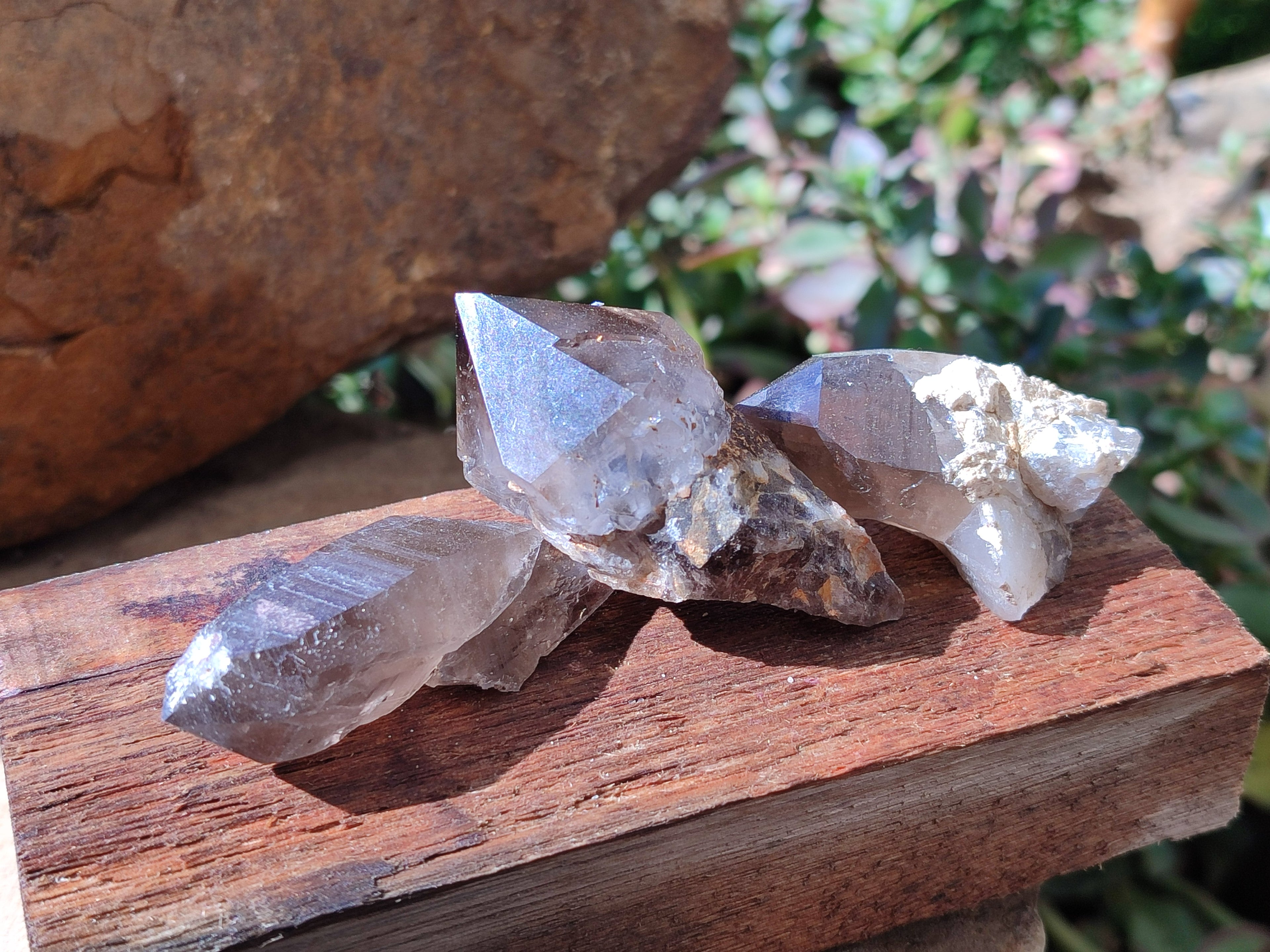Natural Smokey Quartz Crystals x 35 From Mulanje, Malawi - Toprock Gemstones and Minerals 