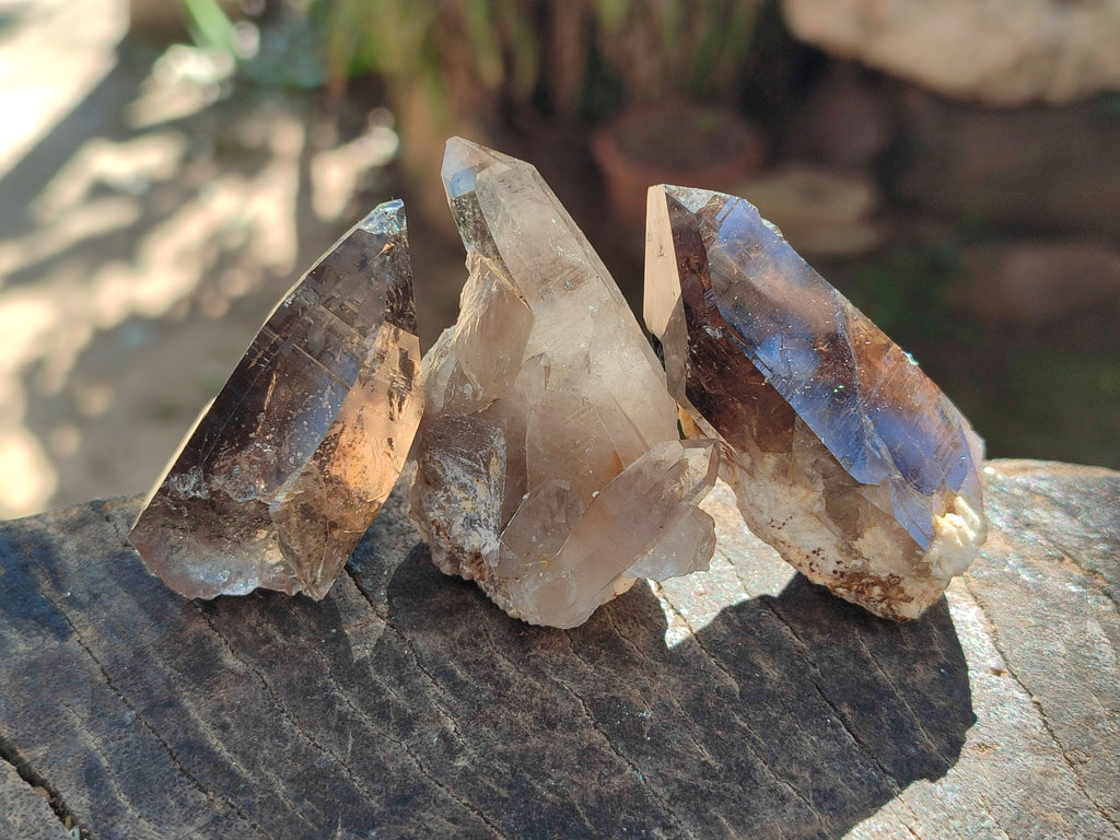 Natural Smokey Quartz Crystals x 35 From Mulanje, Malawi - Toprock Gemstones and Minerals 