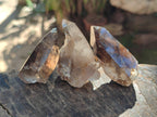 Natural Smokey Quartz Crystals x 35 From Mulanje, Malawi - Toprock Gemstones and Minerals 