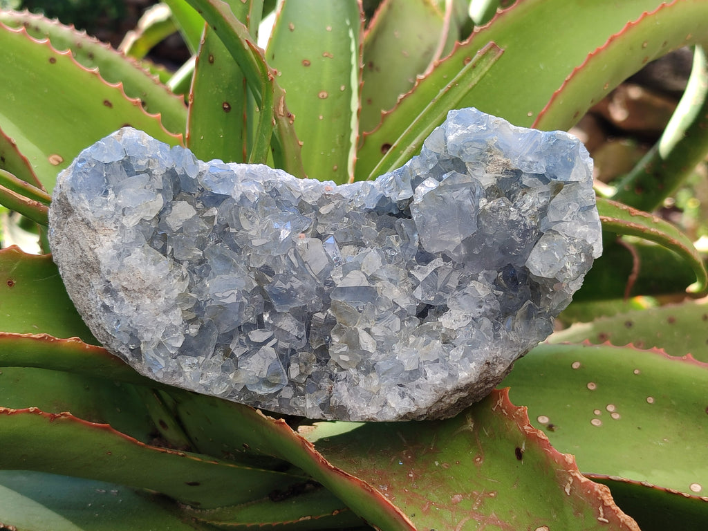 Natural Blue Celestite Geode Specimens x 3 From Sakoany, Madagascar - Toprock Gemstones and Minerals 