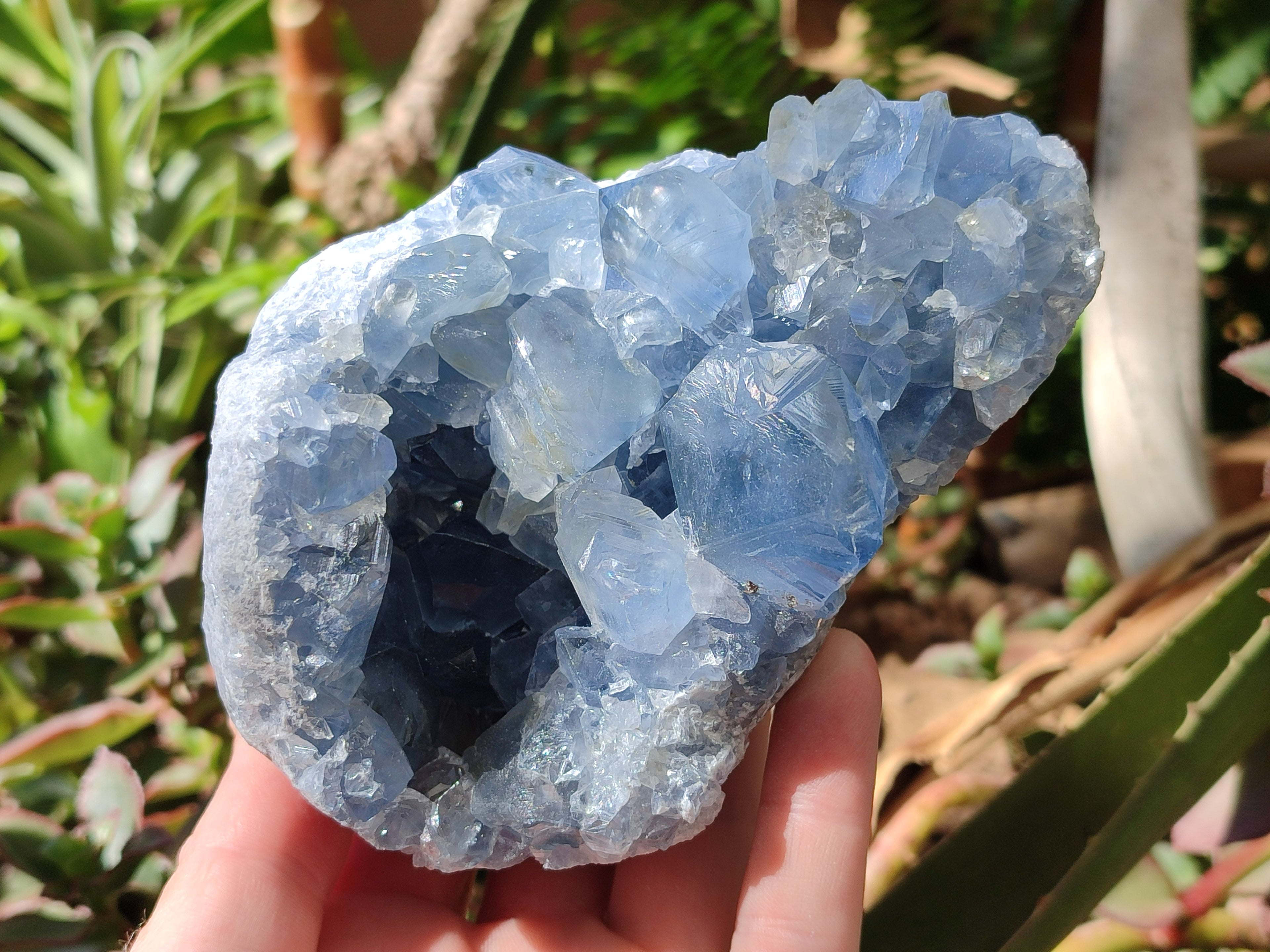 Natural Blue Celestite Geode Specimens x 3 From Sakoany, Madagascar - Toprock Gemstones and Minerals 