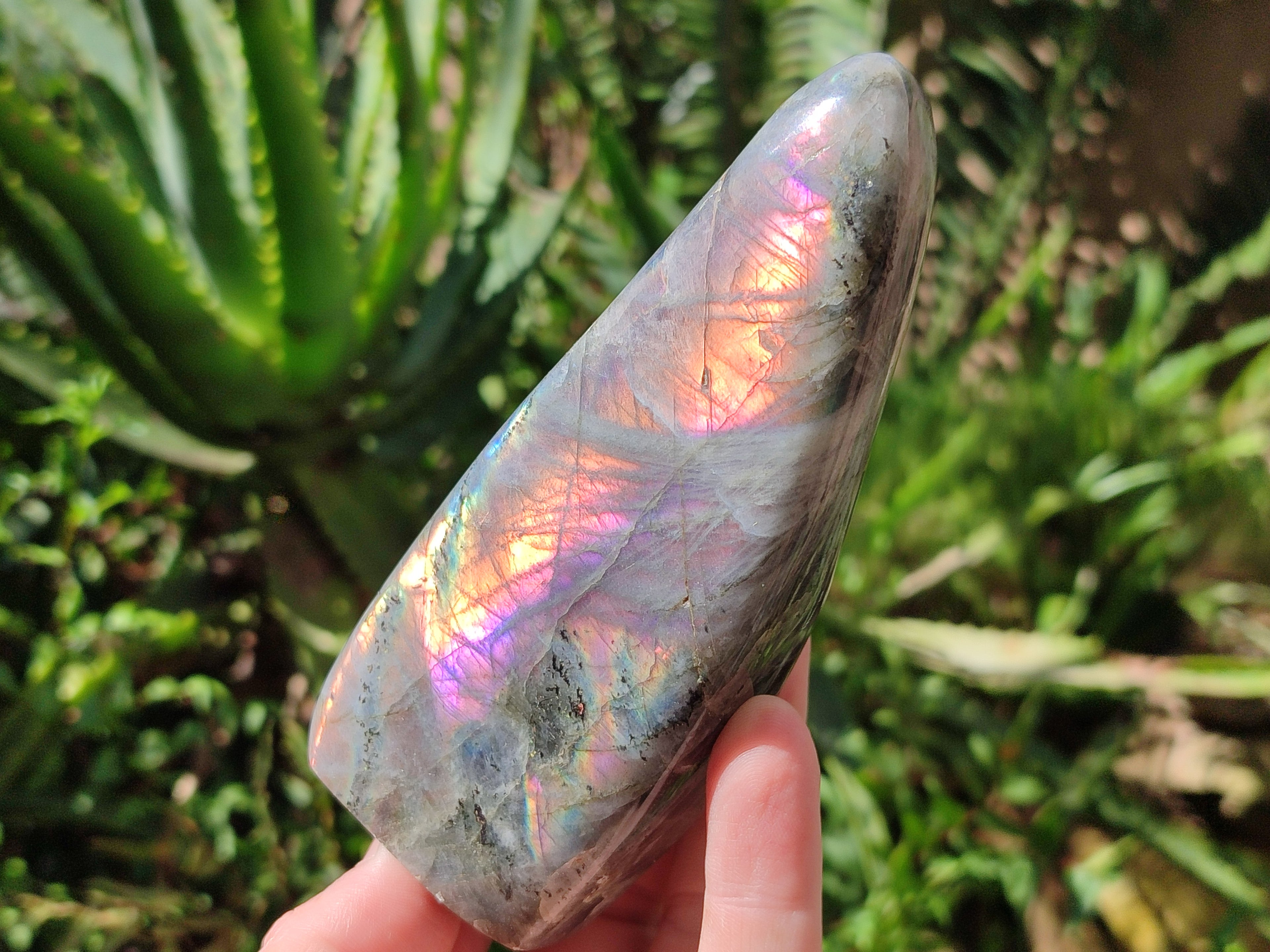 Polished Rare Purple Sunset Flash Labradorite Standing Free Forms x 3 From Madagascar - Toprock Gemstones and Minerals 