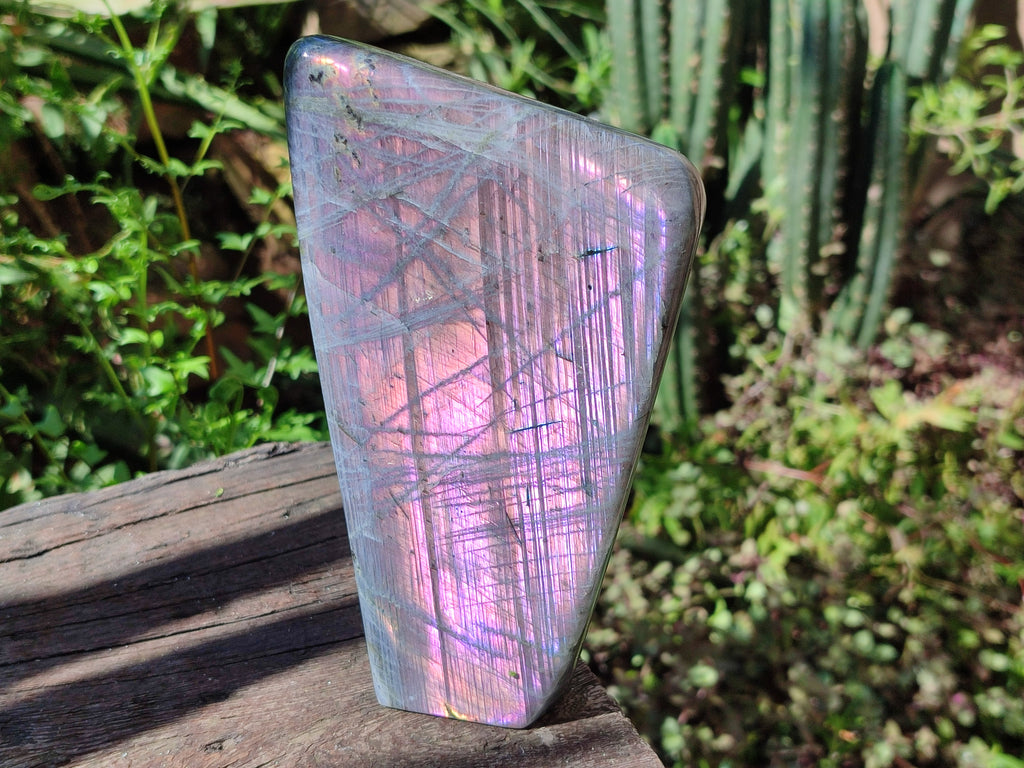 Polished Rare Purple Sunset Flash Labradorite Standing Free Forms x 3 From Madagascar - Toprock Gemstones and Minerals 