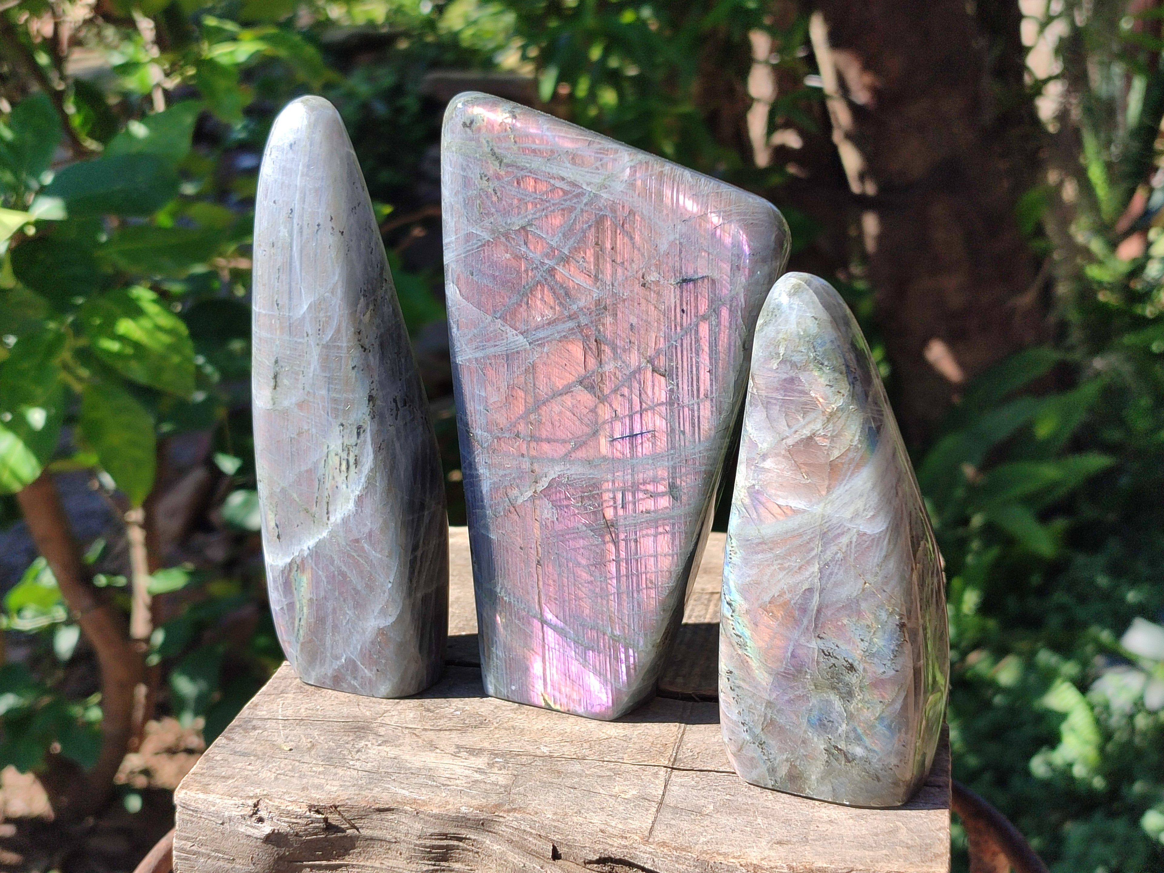 Polished Rare Purple Sunset Flash Labradorite Standing Free Forms x 3 From Madagascar - Toprock Gemstones and Minerals 