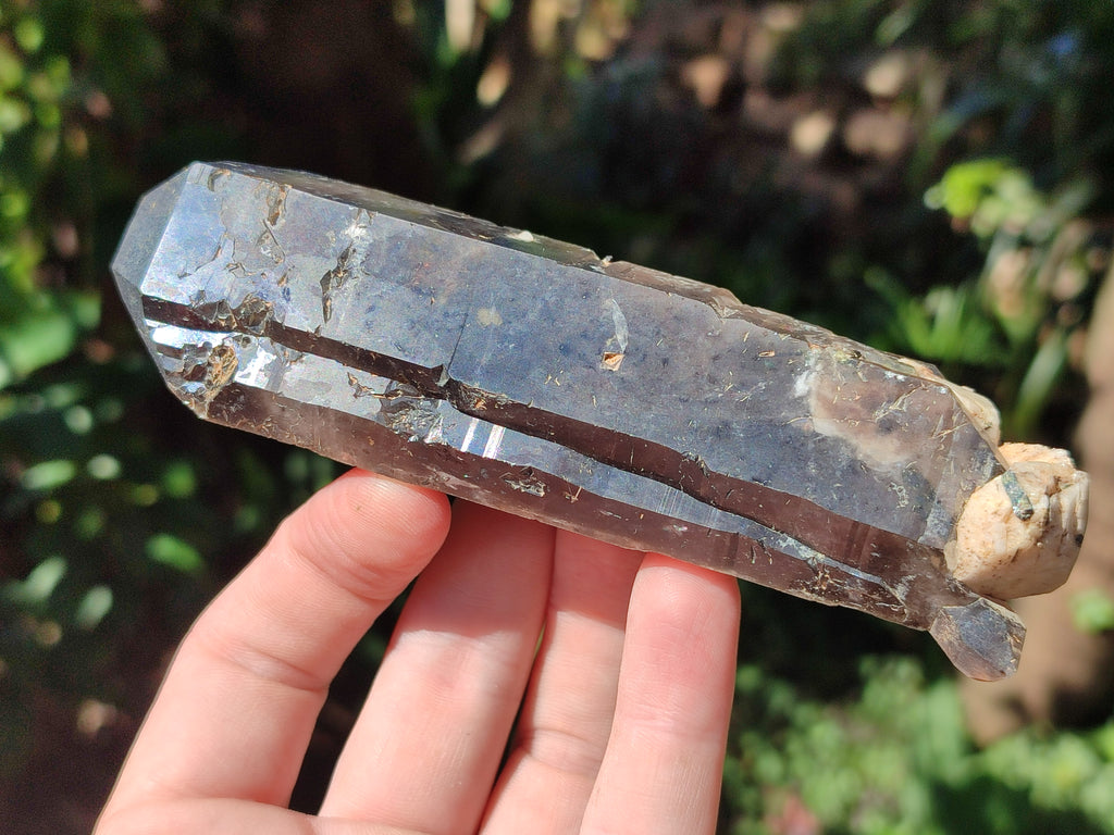 Natural Smokey Quartz Crystals x 6 From Zomba Plateau, Malawi - Toprock Gemstones and Minerals 