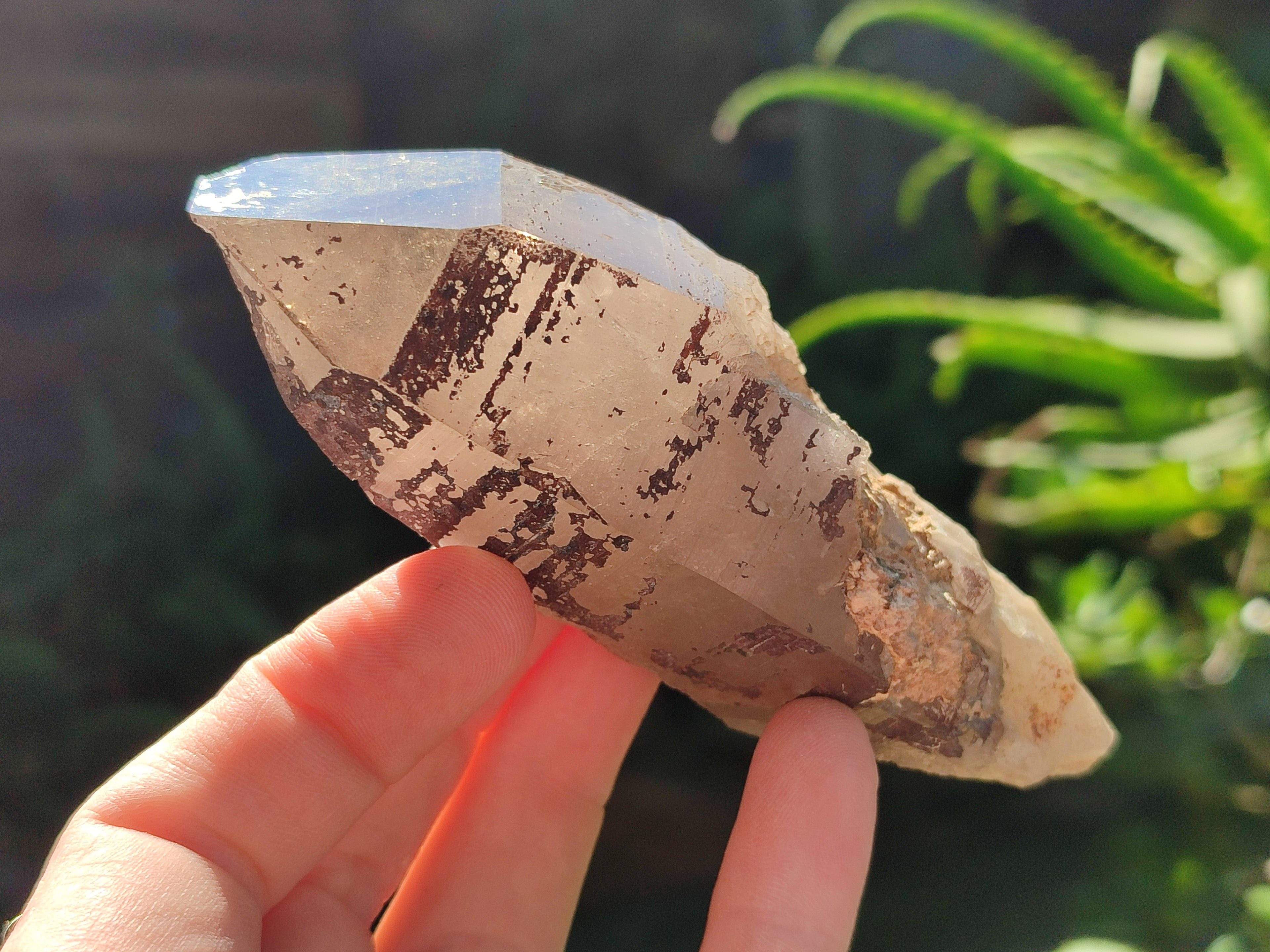 Natural Smokey Quartz Crystals x 6 From Zomba Plateau, Malawi - Toprock Gemstones and Minerals 