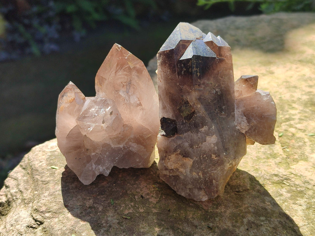 Natural Smokey Quartz Crystals x 6 From Zomba Plateau, Malawi - Toprock Gemstones and Minerals 
