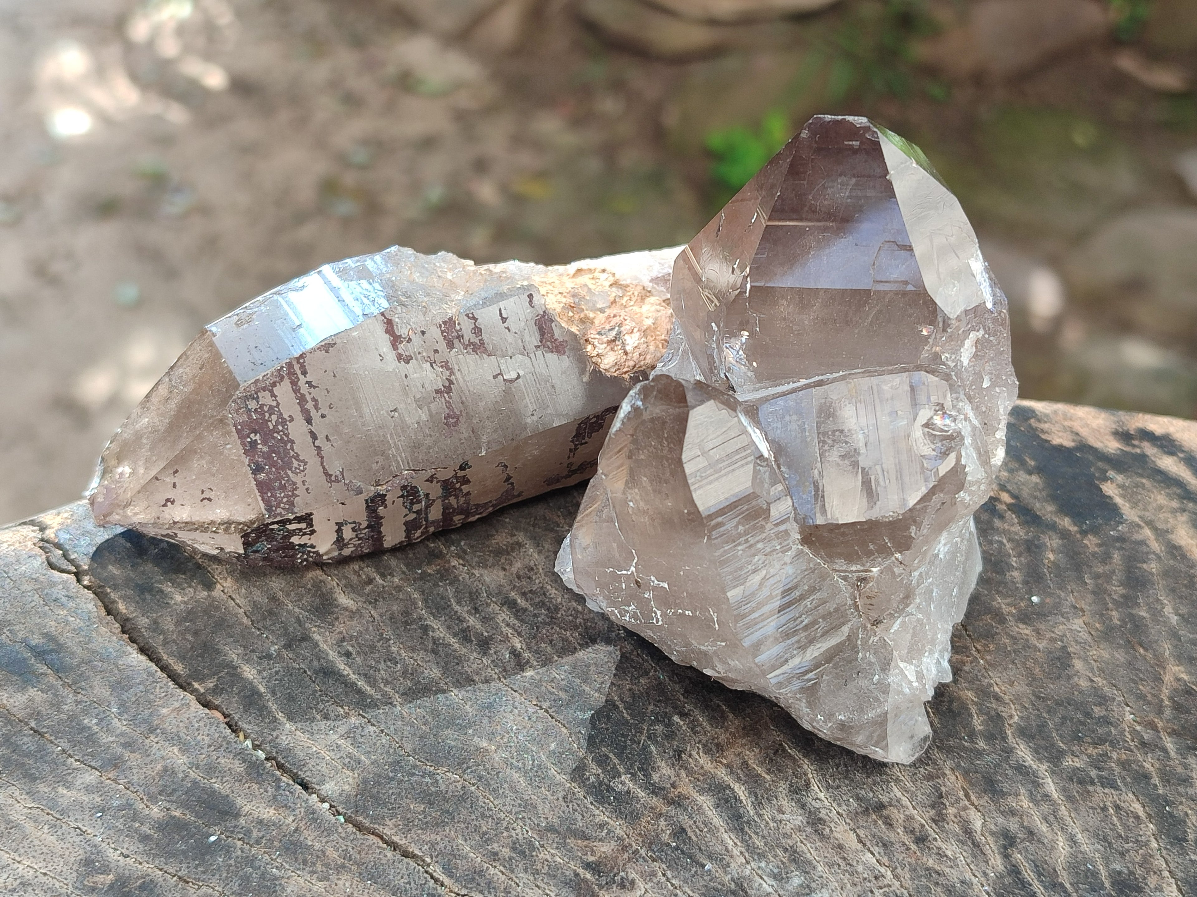 Natural Smokey Quartz Crystals x 6 From Zomba Plateau, Malawi - Toprock Gemstones and Minerals 
