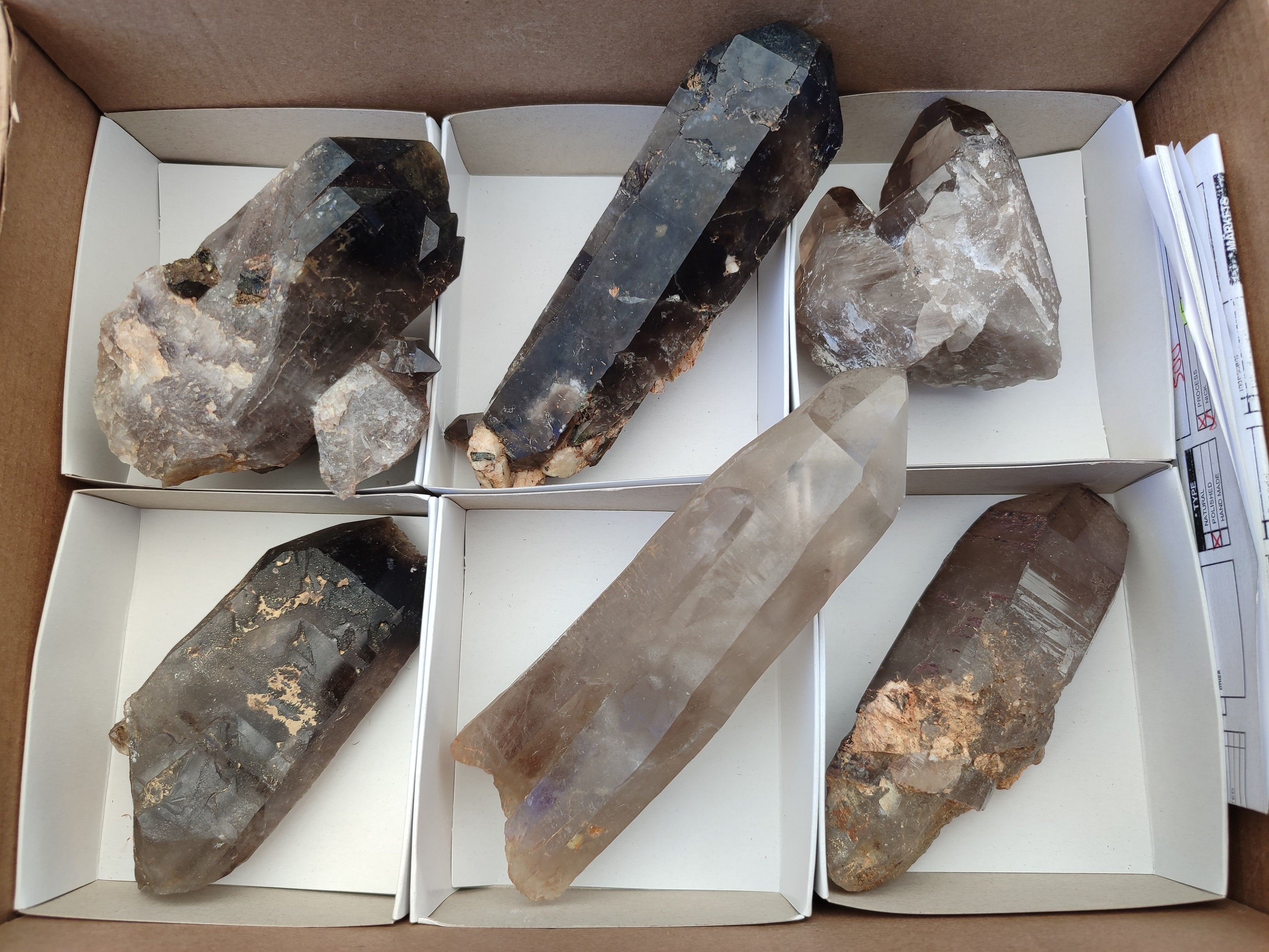 Natural Smokey Quartz Crystals x 6 From Zomba Plateau, Malawi - Toprock Gemstones and Minerals 