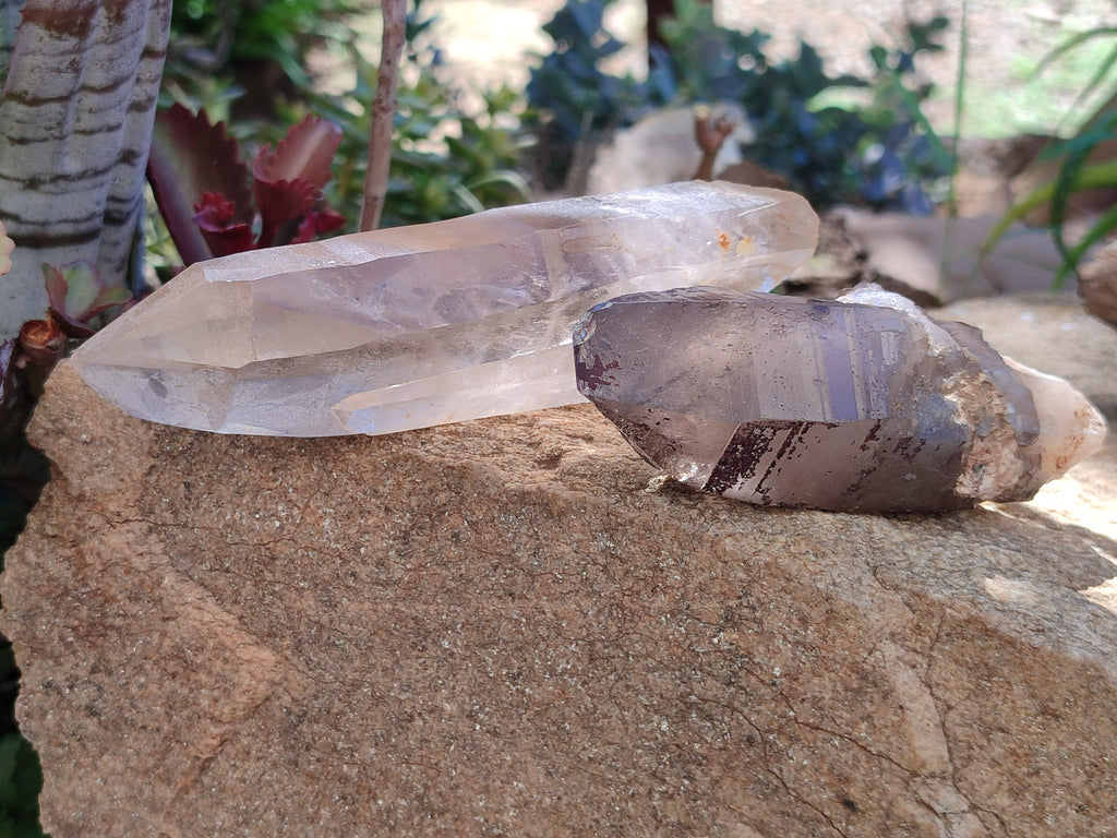 Natural Smokey Quartz Crystals x 6 From Zomba Plateau, Malawi - Toprock Gemstones and Minerals 