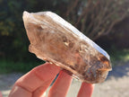 Natural Smokey Quartz Crystals x 6 From Zomba Plateau, Malawi - Toprock Gemstones and Minerals 