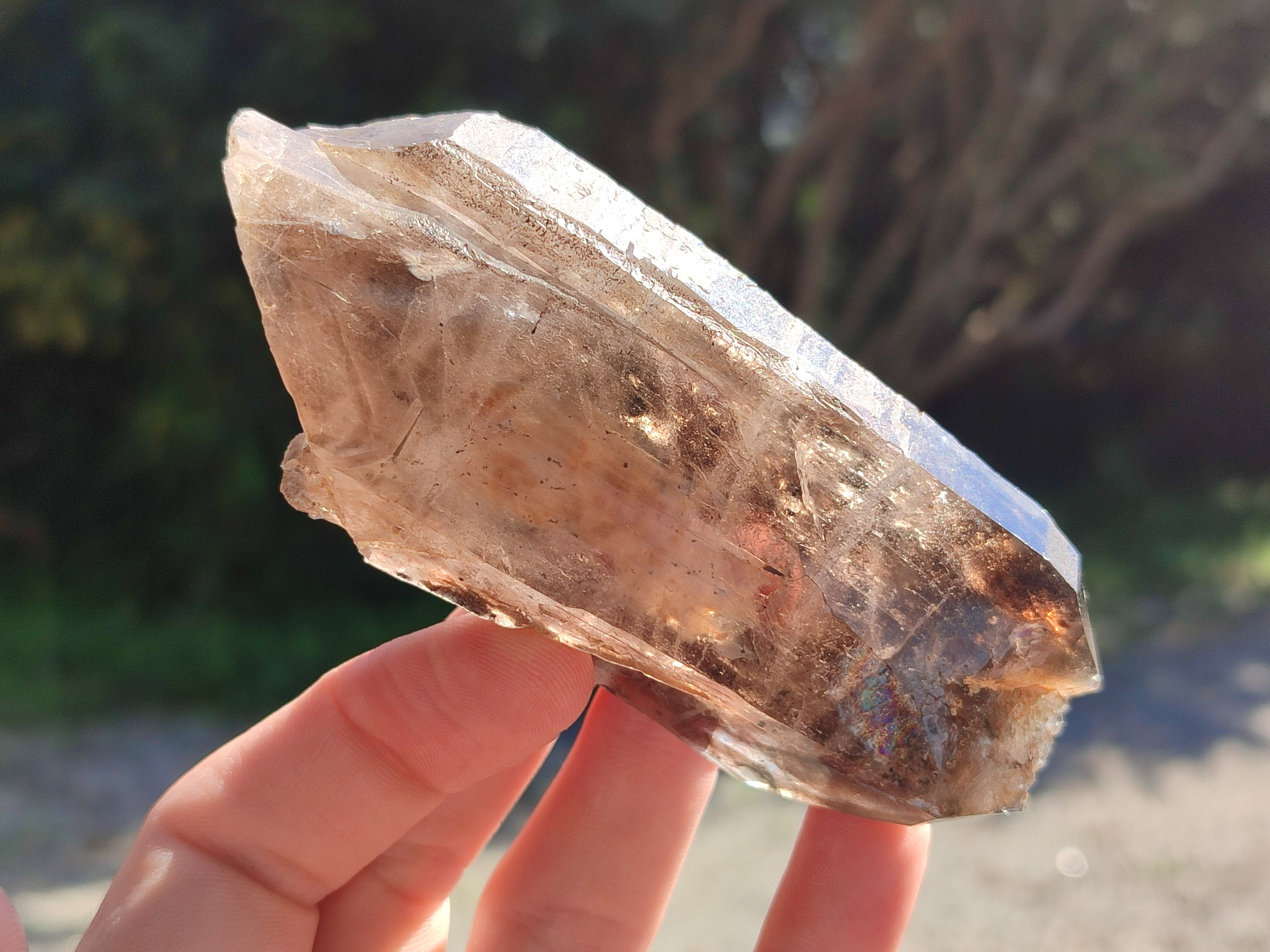 Natural Smokey Quartz Crystals x 6 From Zomba Plateau, Malawi - Toprock Gemstones and Minerals 