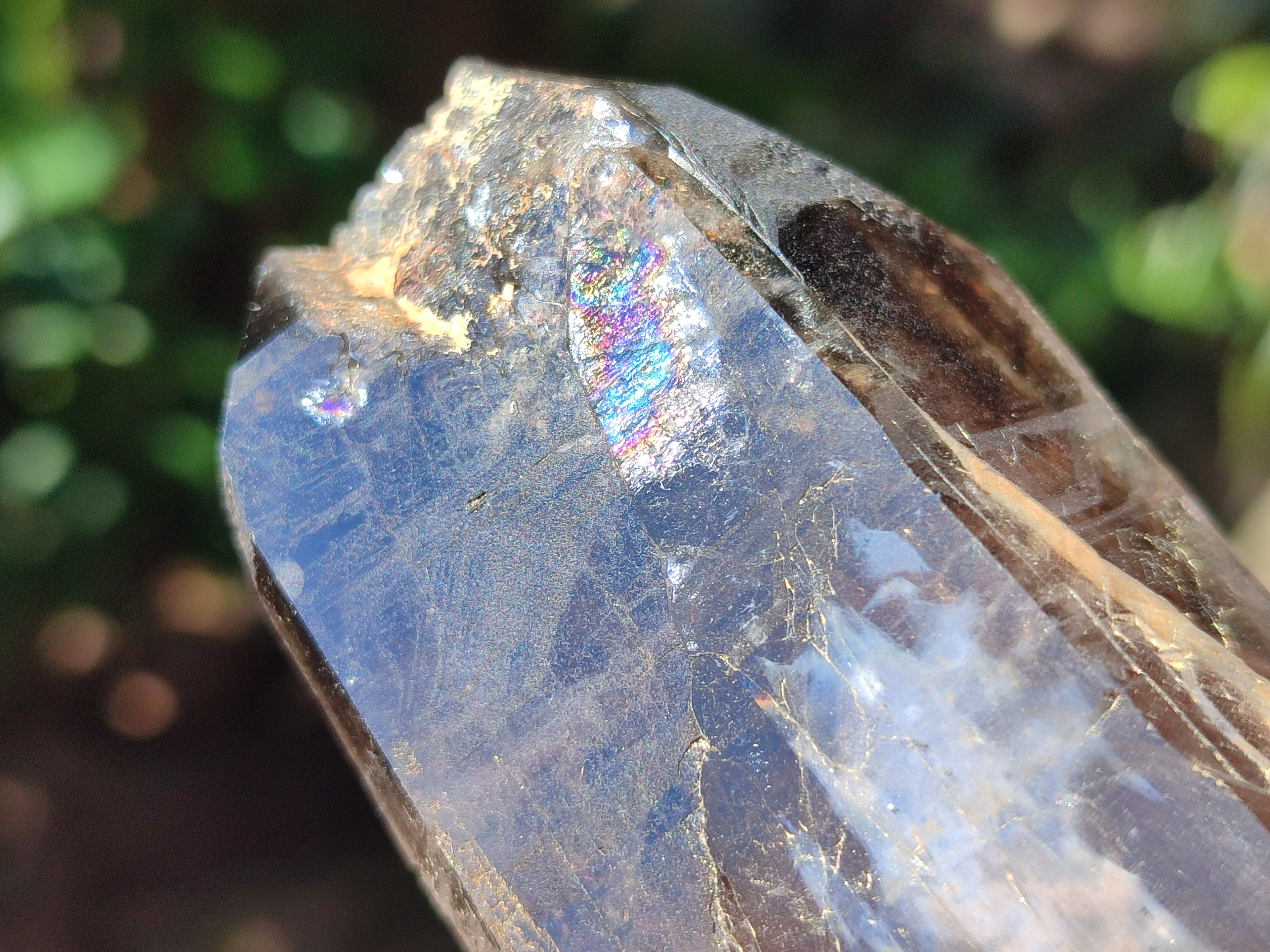Natural Smokey Quartz Crystals x 6 From Zomba Plateau, Malawi - Toprock Gemstones and Minerals 