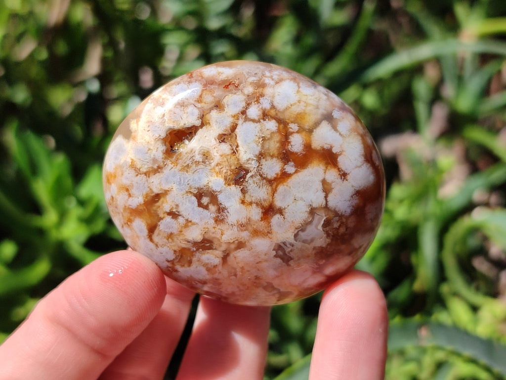 Polished Flower Agate Palm Stones x 12 From Antsahalova, Madagascar - Toprock Gemstones and Minerals 