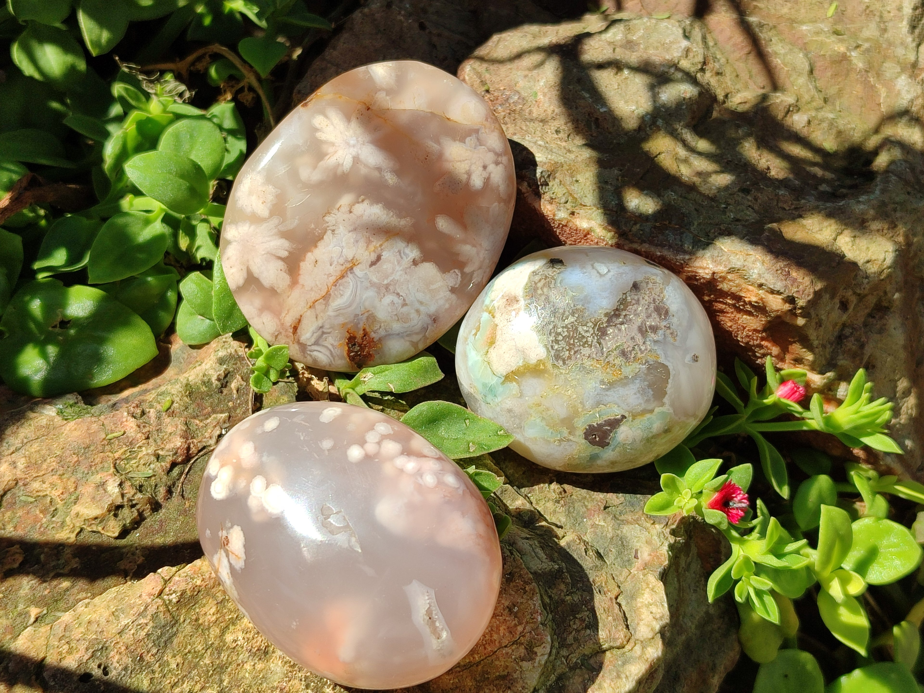 Polished Flower Agate Palm Stones x 12 From Antsahalova, Madagascar - Toprock Gemstones and Minerals 
