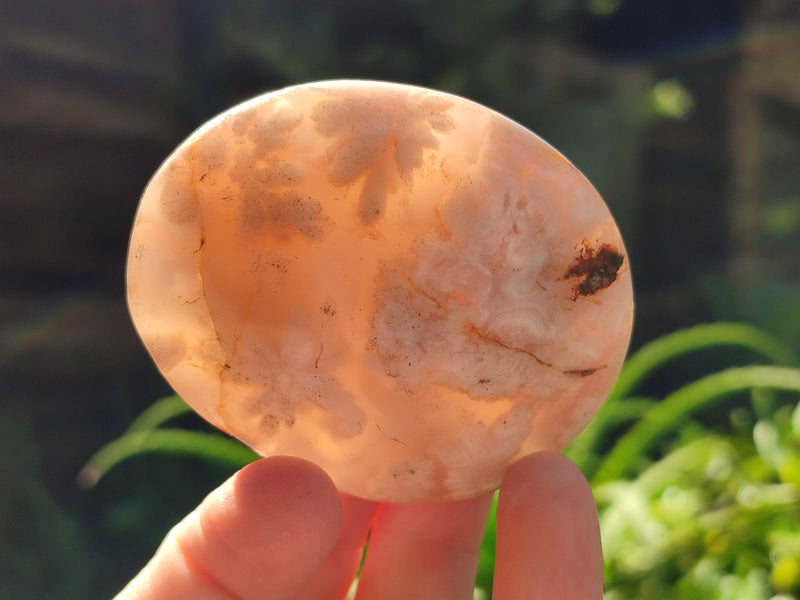 Polished Flower Agate Palm Stones x 12 From Antsahalova, Madagascar - Toprock Gemstones and Minerals 