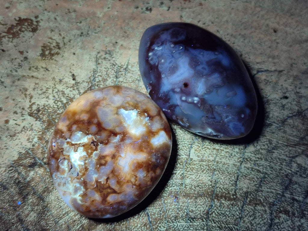 Polished Flower Agate Palm Stones x 12 From Antsahalova, Madagascar - Toprock Gemstones and Minerals 