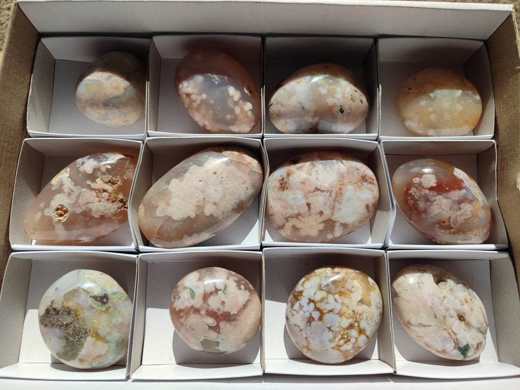 Polished Flower Agate Palm Stones x 12 From Antsahalova, Madagascar - Toprock Gemstones and Minerals 