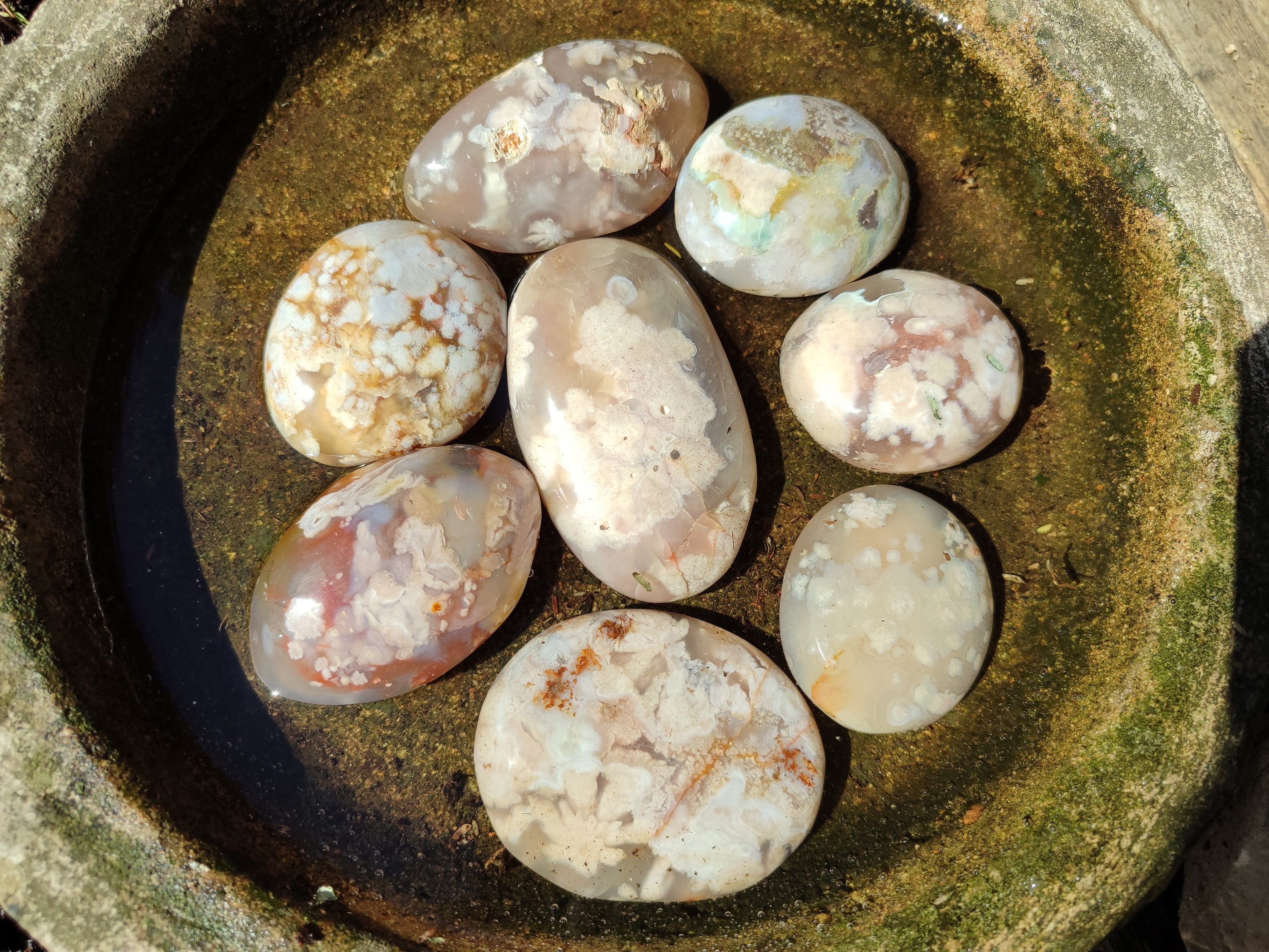 Polished Flower Agate Palm Stones x 12 From Antsahalova, Madagascar - Toprock Gemstones and Minerals 