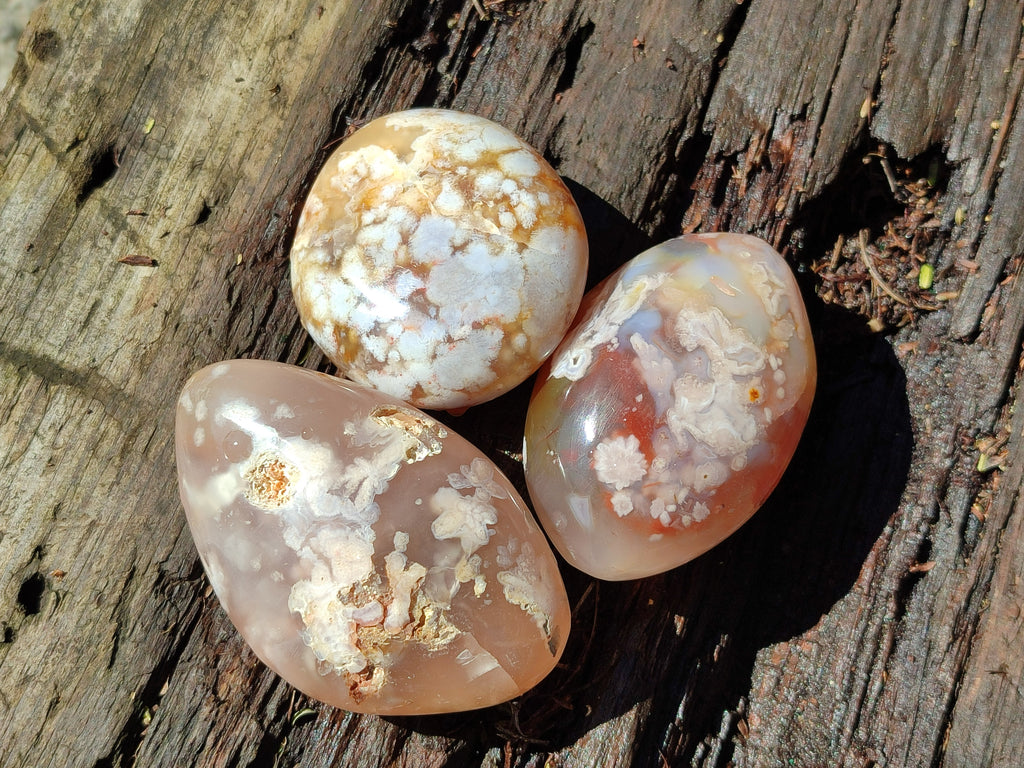 Polished Flower Agate Palm Stones x 12 From Antsahalova, Madagascar - Toprock Gemstones and Minerals 