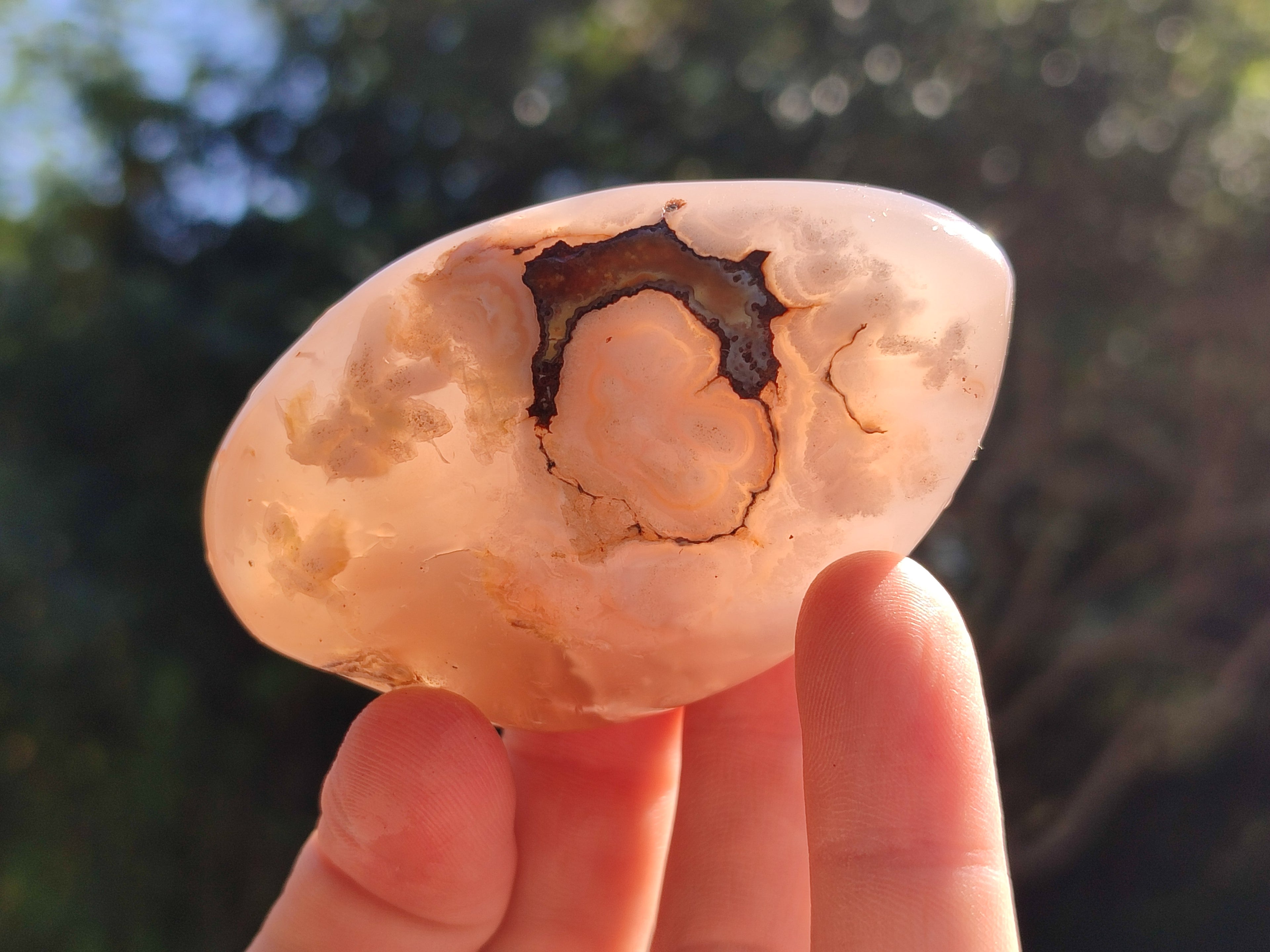 Polished Flower Agate Palm Stones x 12 From Antsahalova, Madagascar - Toprock Gemstones and Minerals 