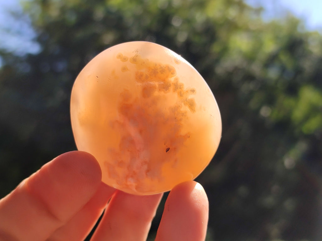 Polished Flower Agate Palm Stones x 12 From Antsahalova, Madagascar - Toprock Gemstones and Minerals 