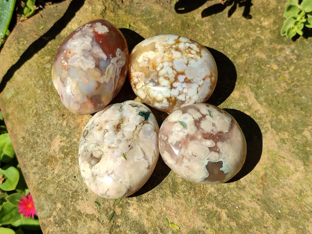 Polished Flower Agate Palm Stones x 12 From Antsahalova, Madagascar - Toprock Gemstones and Minerals 