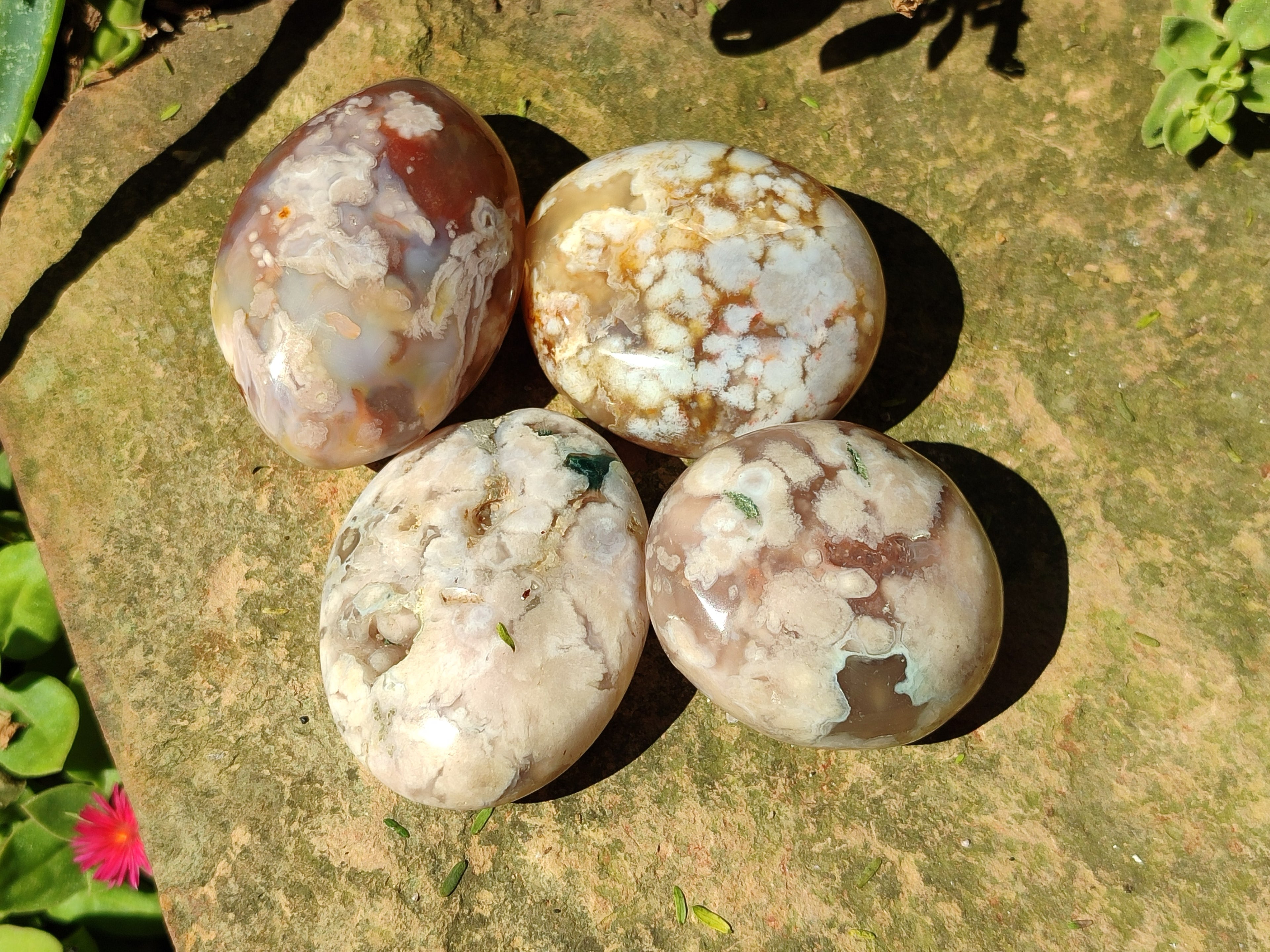 Polished Flower Agate Palm Stones x 12 From Antsahalova, Madagascar - Toprock Gemstones and Minerals 