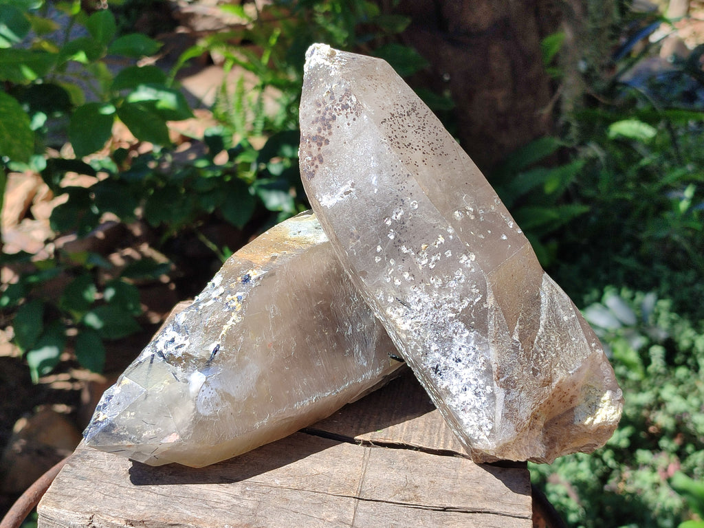 Natural Large Smokey Quartz Crystals with Schorl and Hyalite Opal x 2 From Erongo, Namibia - Toprock Gemstones and Minerals 