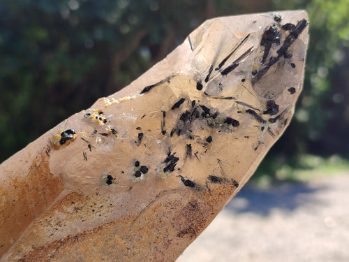 Natural Large Smokey Quartz Crystals with Schorl and Hyalite Opal x 2 From Erongo, Namibia - Toprock Gemstones and Minerals 