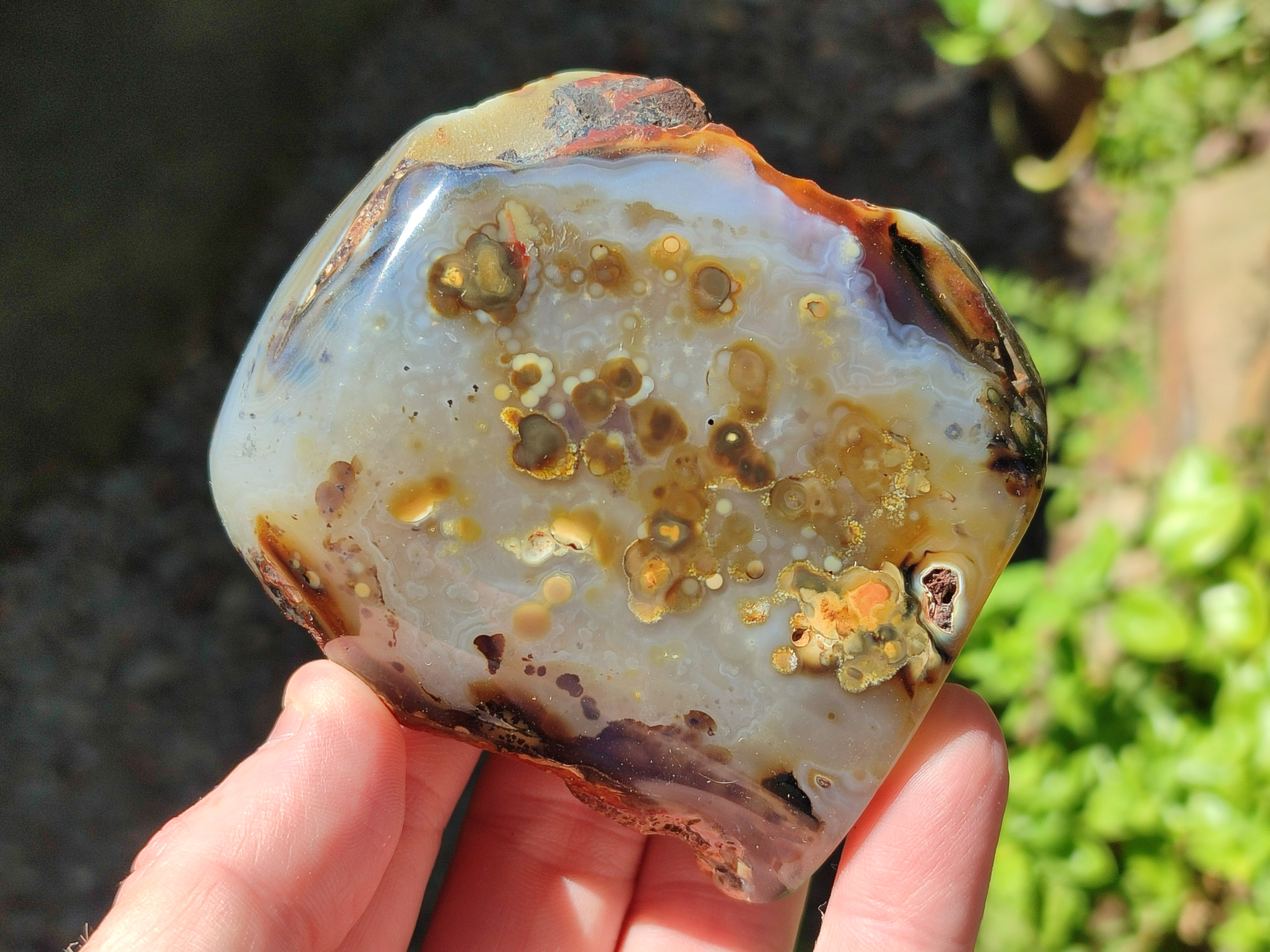 Polished One Side Dendritic Agate Standing Free Forms x 6 From Moralambo, Madagascar - Toprock Gemstones and Minerals 