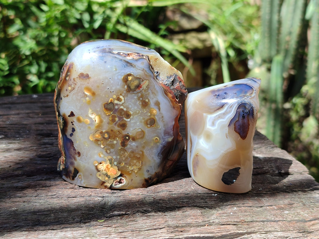 Polished One Side Dendritic Agate Standing Free Forms x 6 From Moralambo, Madagascar - Toprock Gemstones and Minerals 