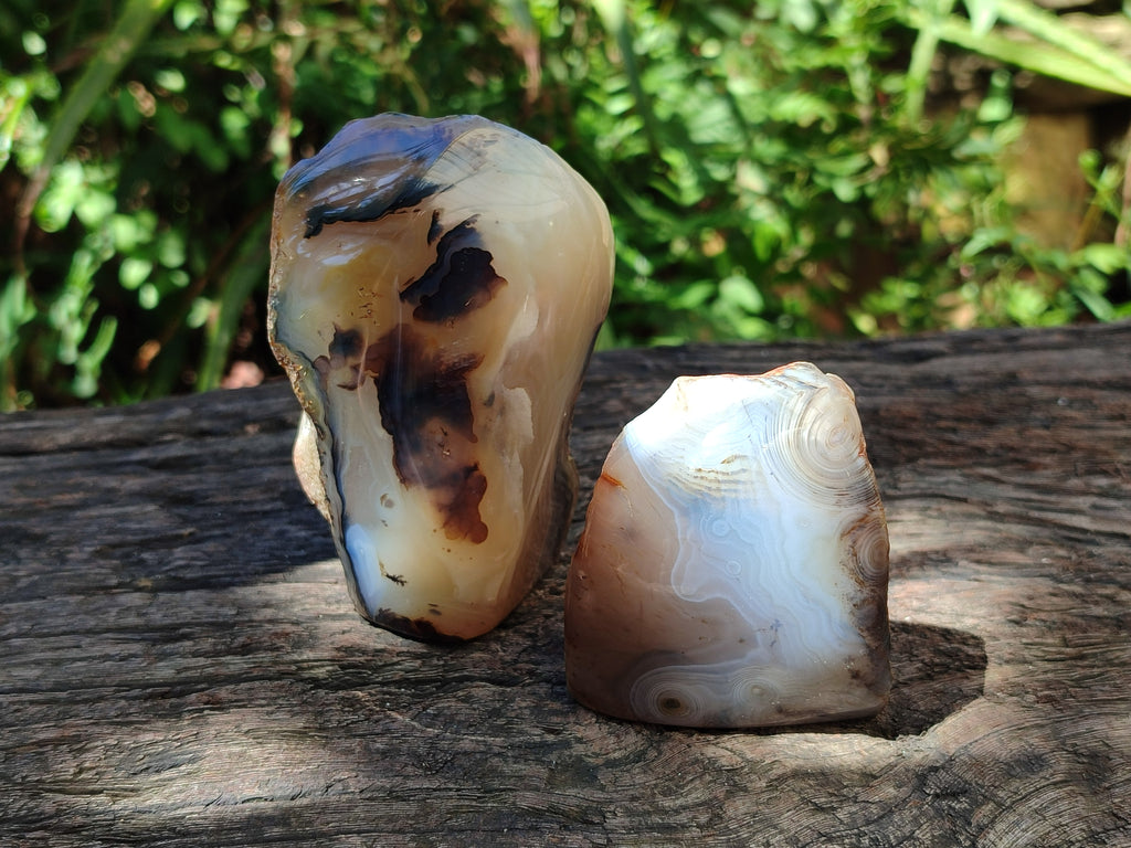 Polished One Side Dendritic Agate Standing Free Forms x 6 From Moralambo, Madagascar - Toprock Gemstones and Minerals 